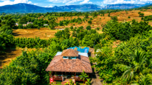Best Monsoon Resorts Near Pune